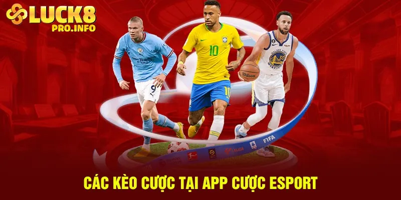 Các kèo cược tại app cược esport