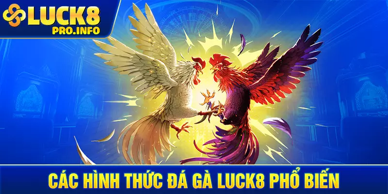 Các hình thức đá gà LUCK8 phổ biến