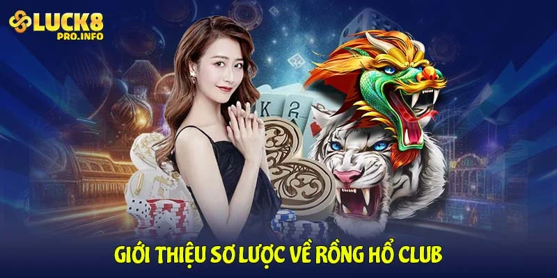 Giới thiệu sơ lược về Rồng Hổ Club