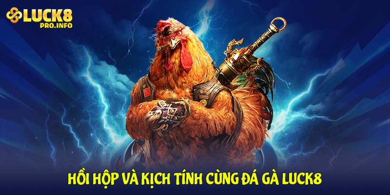 Hồi hộp và kịch tính cùng đá gà LUCK8