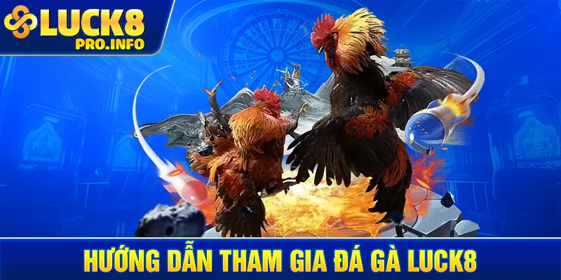 Hướng dẫn tham gia đá gà LUCK8