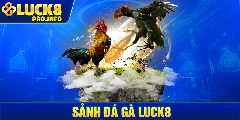 Sảnh đá gà LUCK8