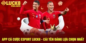 App cá cược esport Luck8 cái tên đáng lựa chọn nhất