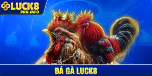 Đá gà LUCK8