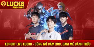 Esport Live LUCK8 bùng nổ cảm xúc đam mê đánh thức